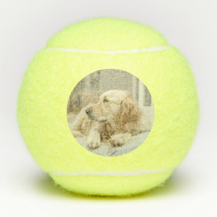 Balle de tennis avec l'image du golden retriever