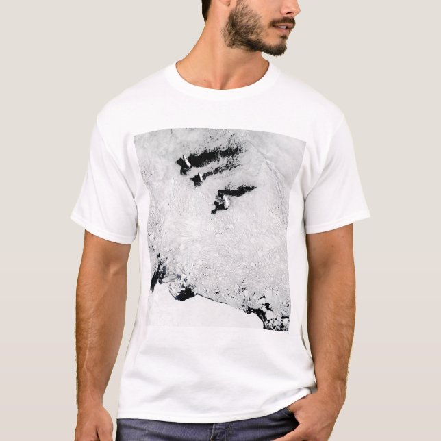 Balleny Islands, near Antarctica T-Shirt (Front)