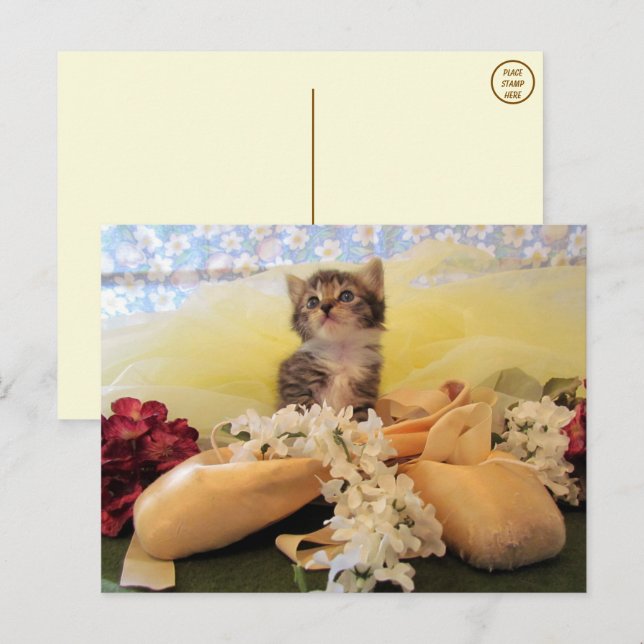 Ballerina Kate Cat / Kitten Postcard (Front/Back)