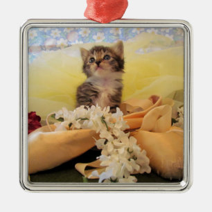 Ballerina Kitten Kate Premium Ornament