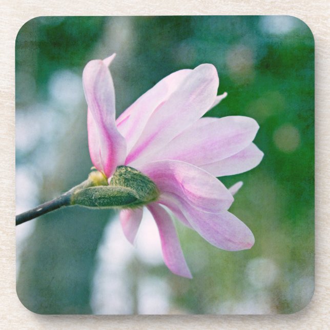 Ballerina Magnolia Coaster (Front)