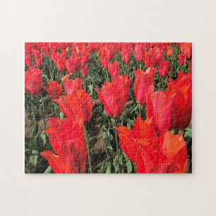 Ballerina Tulips, Oregon Jigsaw Puzzle