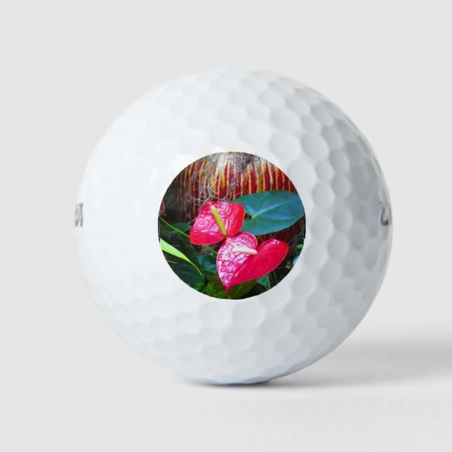 Balles De Golf (12 pack) Wilson Ultra 500 Distance Golf Ball (Devant)