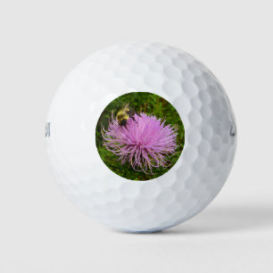 Balles De Golf Abeille sur la nature de la fleur de chardon