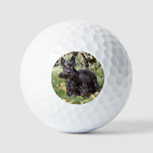 Balles De Golf Ach