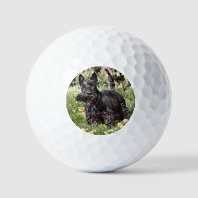 Balles De Golf Ach (Recto)