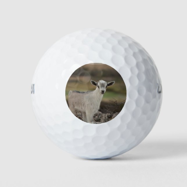 Balles De Golf Adorable chèvre d'enfant (Devant)