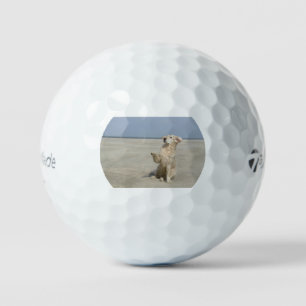 Balles De Golf agitateur d'or à la plage