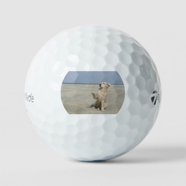 Balles De Golf agitateur d'or à la plage (Recto)
