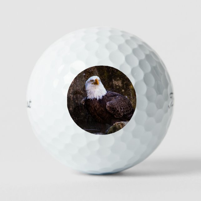 Balles De Golf Aigle de Bald (Recto)