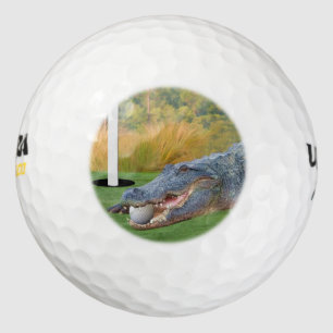 Balles De Golf Alligator, Lie dangereuse sur le terrain de golf