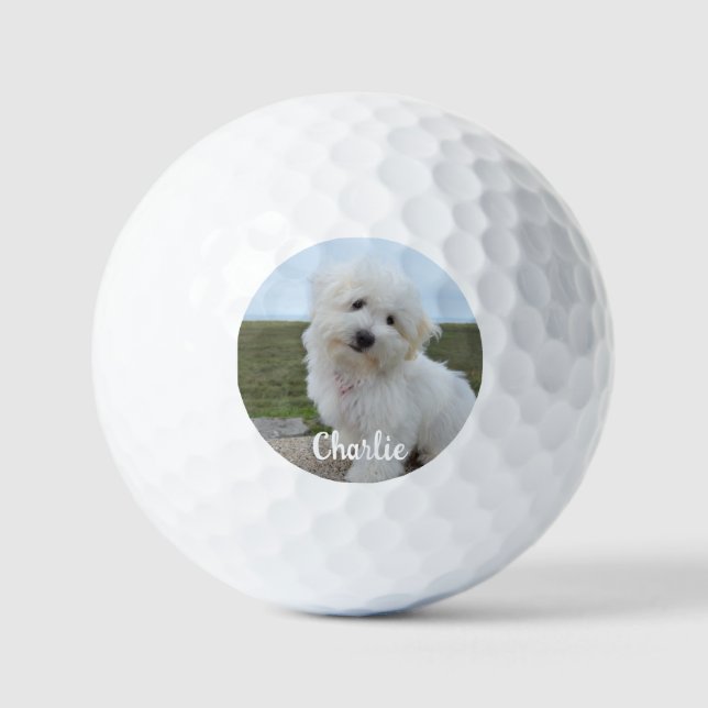 Balles De Golf Amoureux des chiens photo pour animal de compagnie (Recto)
