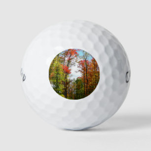 Balles De Golf Arbres d'automne et ciel bleu Photographie de la n