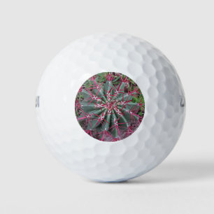 Balles De Golf Arizona Barrel Cactus Desert Plante Gros plan Phot