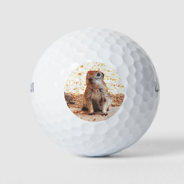 Balles De Golf Ballons de golf d'écureuil de terrain Wilson Ultra (Devant)