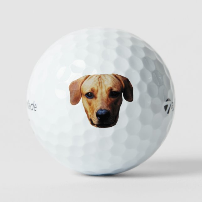 Balles De Golf Ballons De Golf Personnalisés Avec Visage De Chien (Recto)
