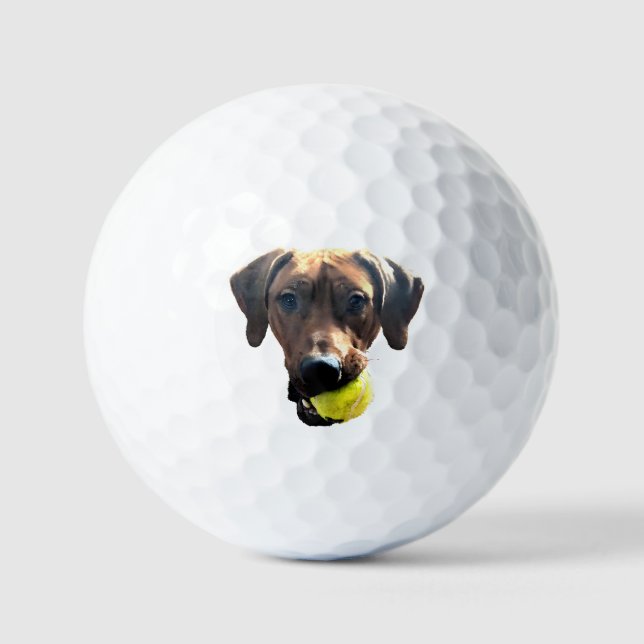 Balles De Golf Ballons de golf Rhodesian Ridgeback (Recto)