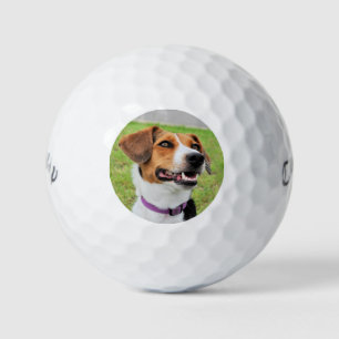 Balles De Golf Beagle