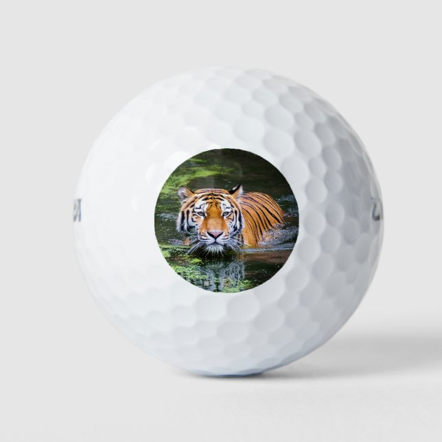 Balles De Golf Beau tigre dans l'eau (Devant)