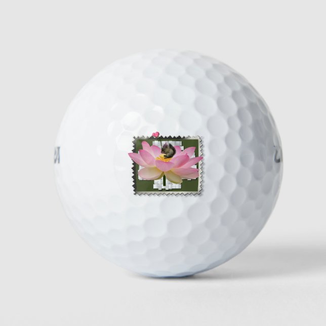 Balles De Golf Bébé écureuil  (Devant)