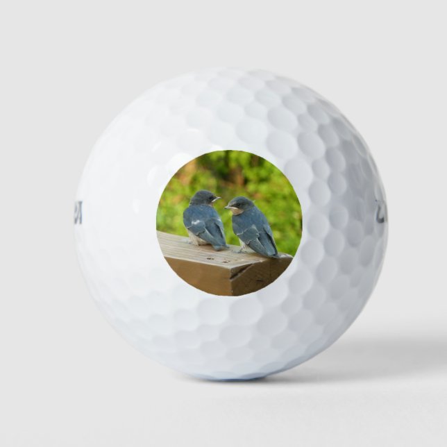 Balles De Golf Bébé Grange hirondelle Nature Oiseau Photographie (Devant)