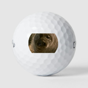 Balles De Golf Bébé phoque face Boules de golf