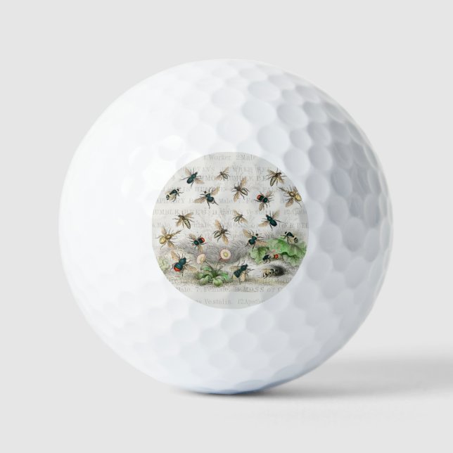 Balles De Golf Bee Honey Travailleur Queen Bees Antique (Recto)