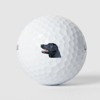 Balles De Golf Black Labrador