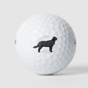 Balles De Golf Black Labrador - Chien de chasse