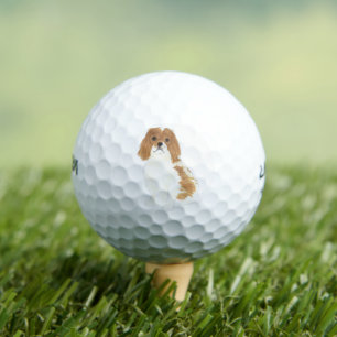 Balles De Golf Blenheim Cavalier King Charles Spaniel