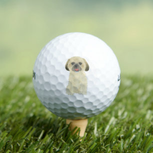 Balles De Golf Blonde Tan Golden Shih Tzu