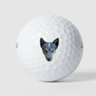 Balles De Golf Blue Heeler / Australian Cattle Dog