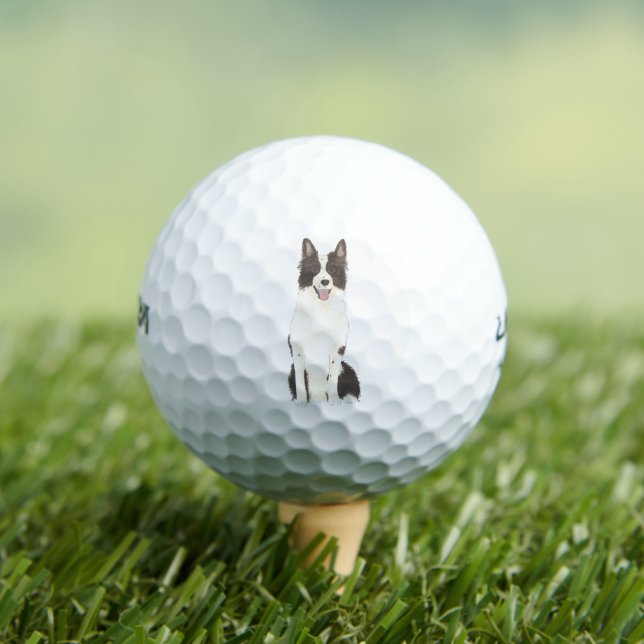 Balles De Golf Bordure Collie (T-shirt Insitu)