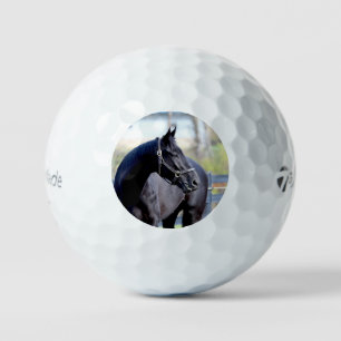 Balles De Golf Boule de golf Thoroughbred