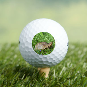 Balles De Golf Box Turtle