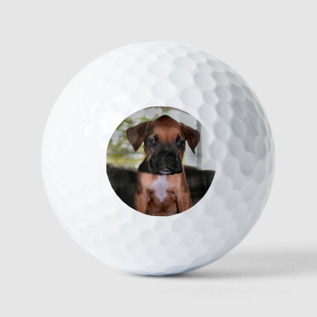 Balles De Golf Boxer Baby (Recto)