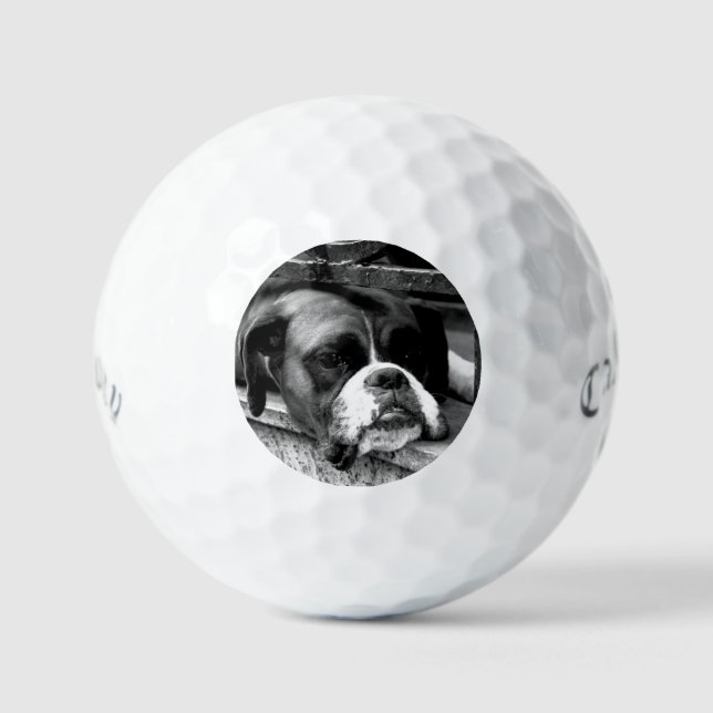 Balles De Golf Boxer Chien sur Windowsill css gbcna (Recto)