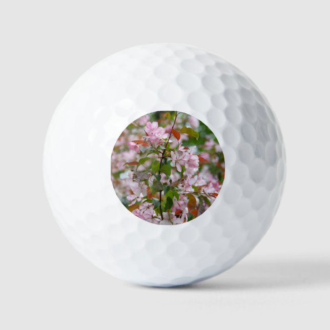 Balles De Golf Branche délicate avec fleurs pommier (Recto)