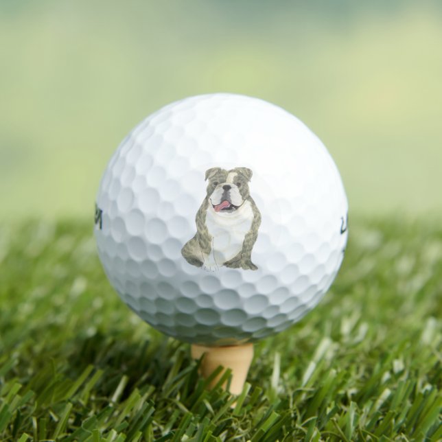 Balles De Golf Brindle English Bulldog (T-shirt Insitu)