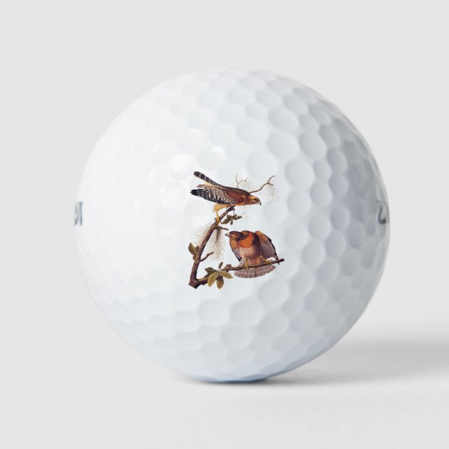 Balles De Golf Buse à épaulettes roux Audubon Oiseau de proie (Devant)