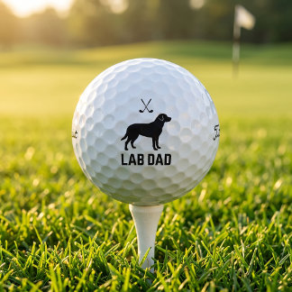 Balles De Golf Cadeau de papa golfeur Titleist Pro V1 Balls de go