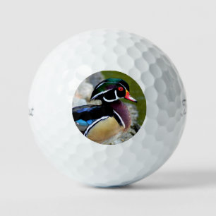 Balles De Golf Canard branchu beauté oiseaux nature faune