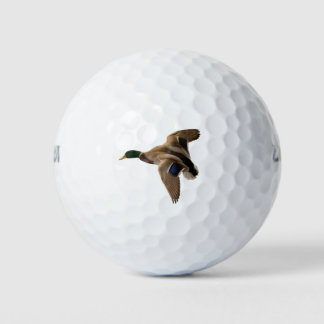 Balles De Golf Canard de Mallard Volant Nature Oiseau Groenland H