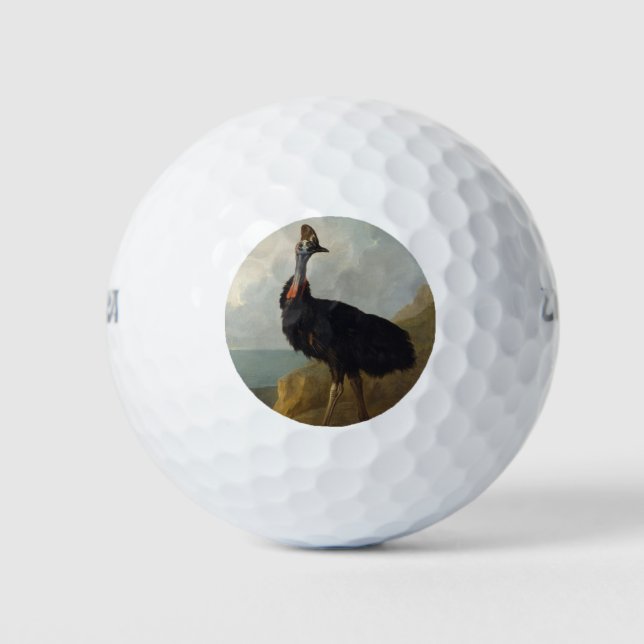 Balles De Golf Cassowary (Oiseau australien) (Art animal sauvage) (Devant)