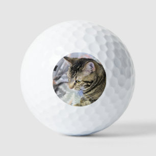 Balles De Golf Cat