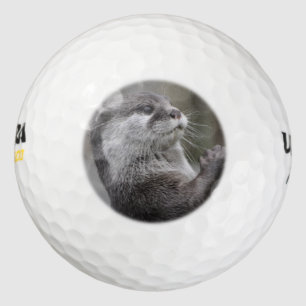 Balles De Golf Cerveau de loutre