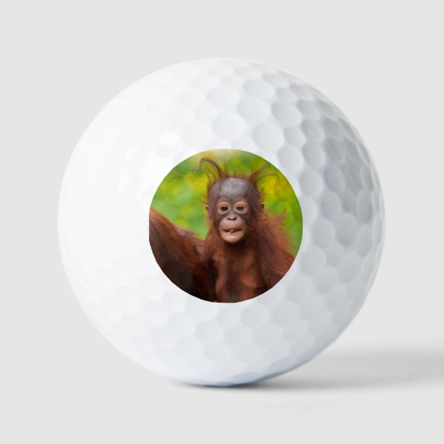 Balles De Golf Charme bizarre d'un bébé orangoutan (Recto)