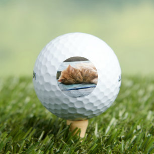 Balles De Golf Chat au gingembre Longhé