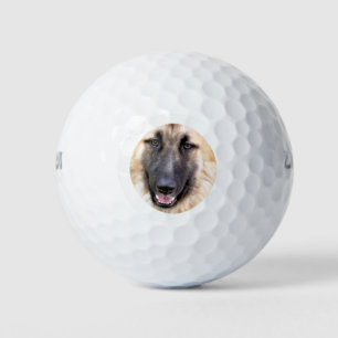 BALLES DE GOLF CHIEN ALLEMAND SHEPHERD
