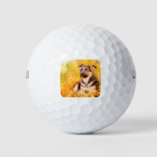 Balles De Golf Chien de berger allemand chiot